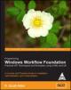 Programming Windows Workflow Foundation: Practical WF Techniques & Examples Using XAML & C# 