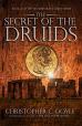 The Secret of the Druids: Book 2 of the Mahabharata Quest Series