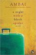 A Night with a Black Spider 
