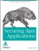 Securing Ajax Applications 