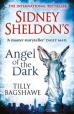 Sidney Sheldon\'s Angel of the Dark 