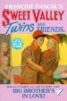 Big Brother\'s in Love! : Sweet Valley Twins