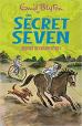 Secret Seven: 09:  Secret Seven mystry