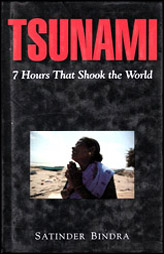 Tsunami: 7 Hours That Shook The World